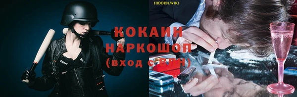 ECSTASY Ельня