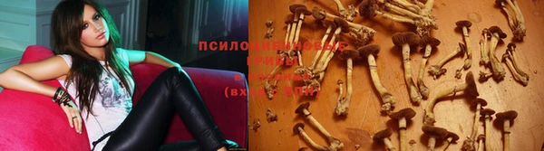 кокаин премиум Елизово