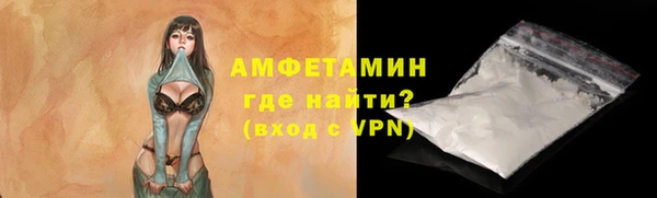 ECSTASY Ельня