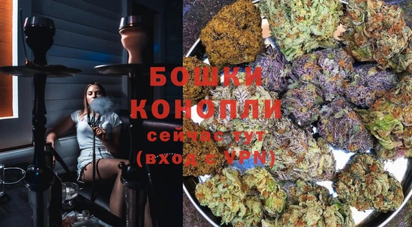 стафф Елабуга