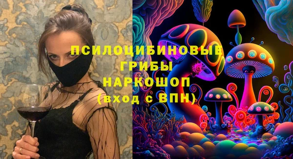 ECSTASY Ельня