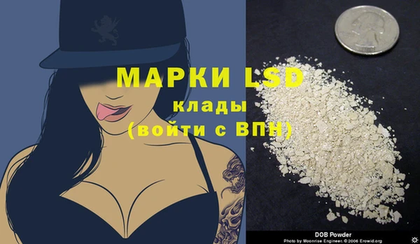 стафф Елабуга