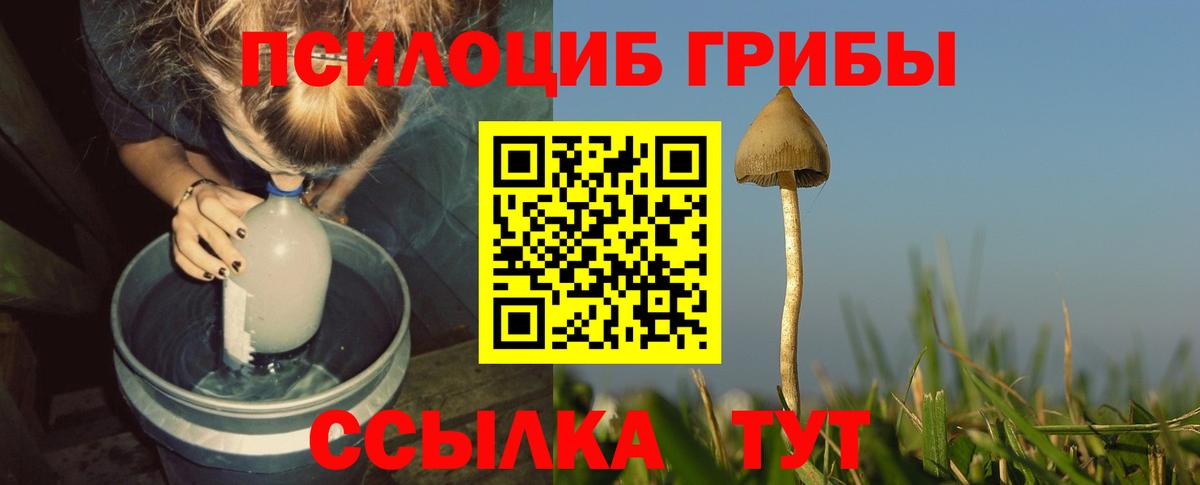 Псилоцибиновые грибы мицелий Усинск
